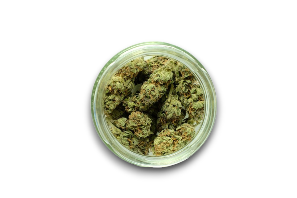Cannabis Moisture Curing