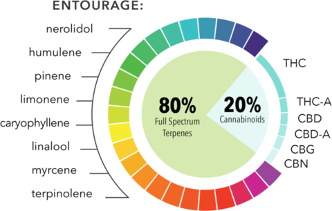 Cannabis Terpenes Entourage Effect