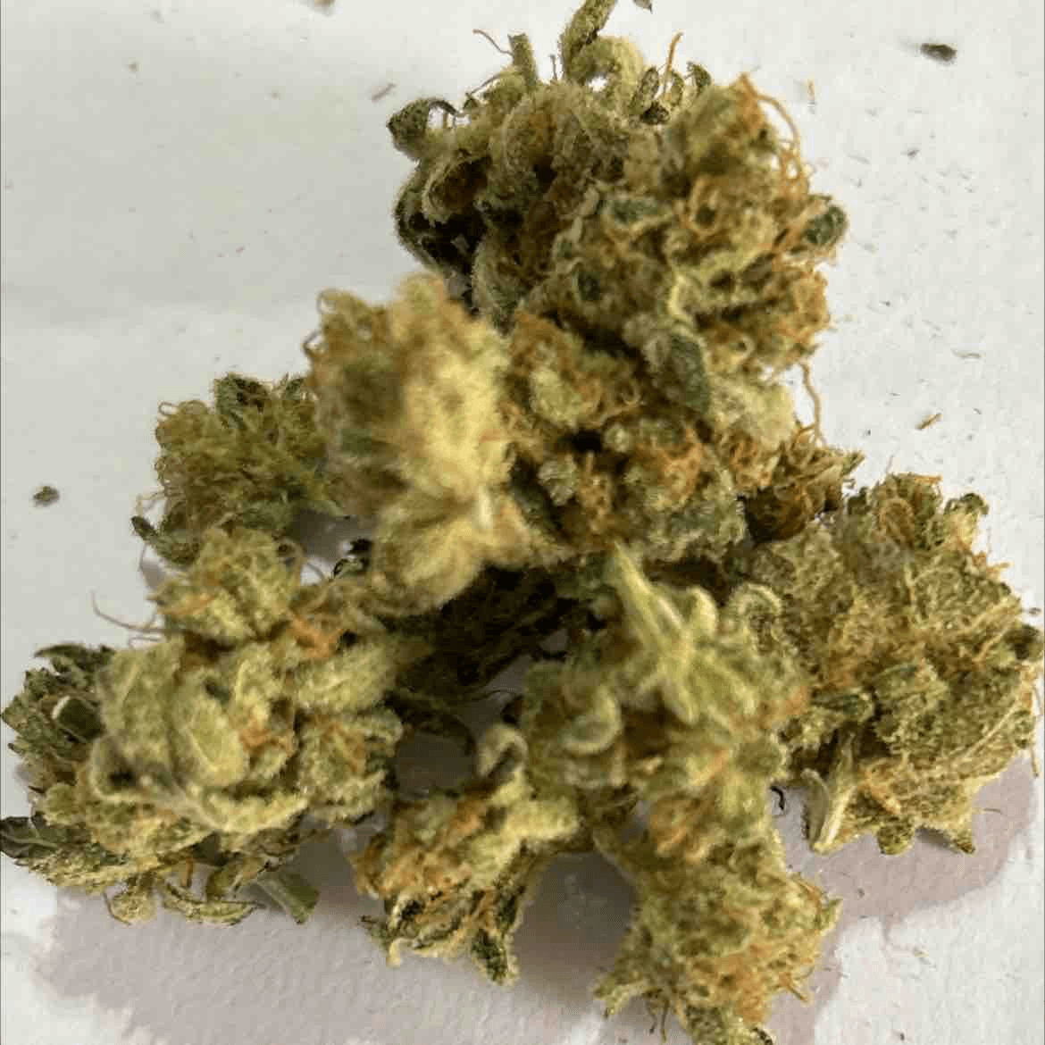 Blue Haze