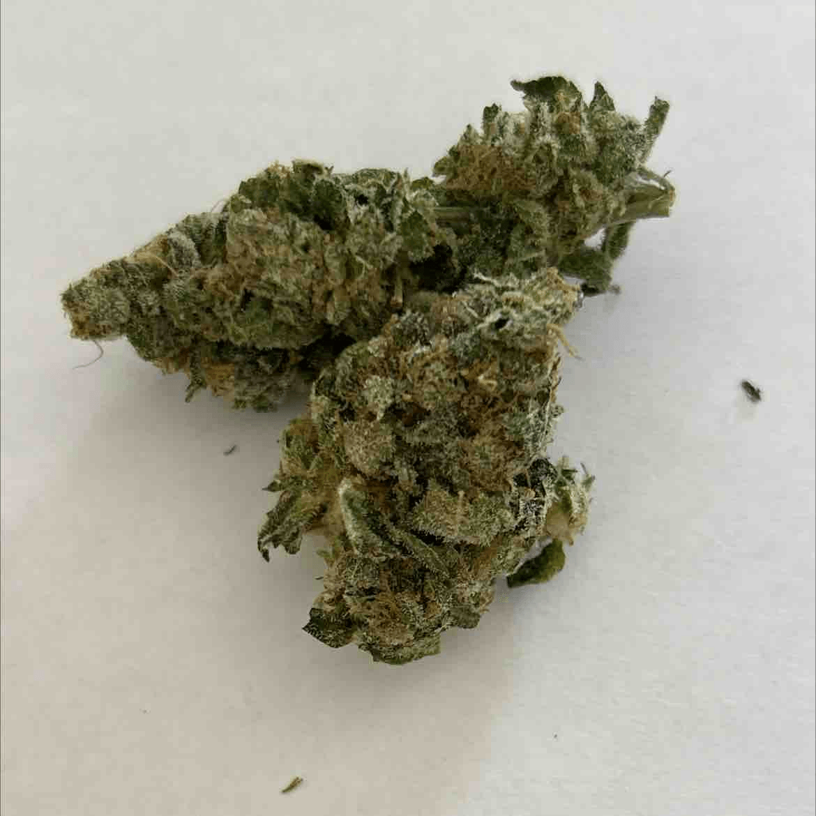 Sour Blueberry