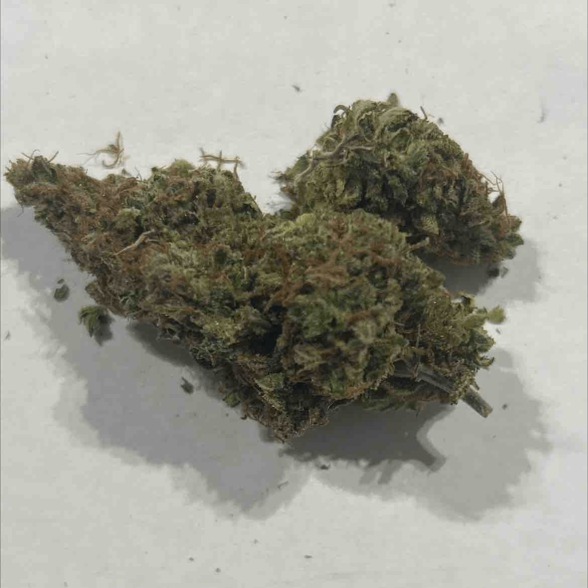 Super Silver Haze